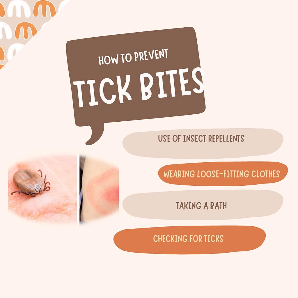 steps-to-prevent-tick-bites