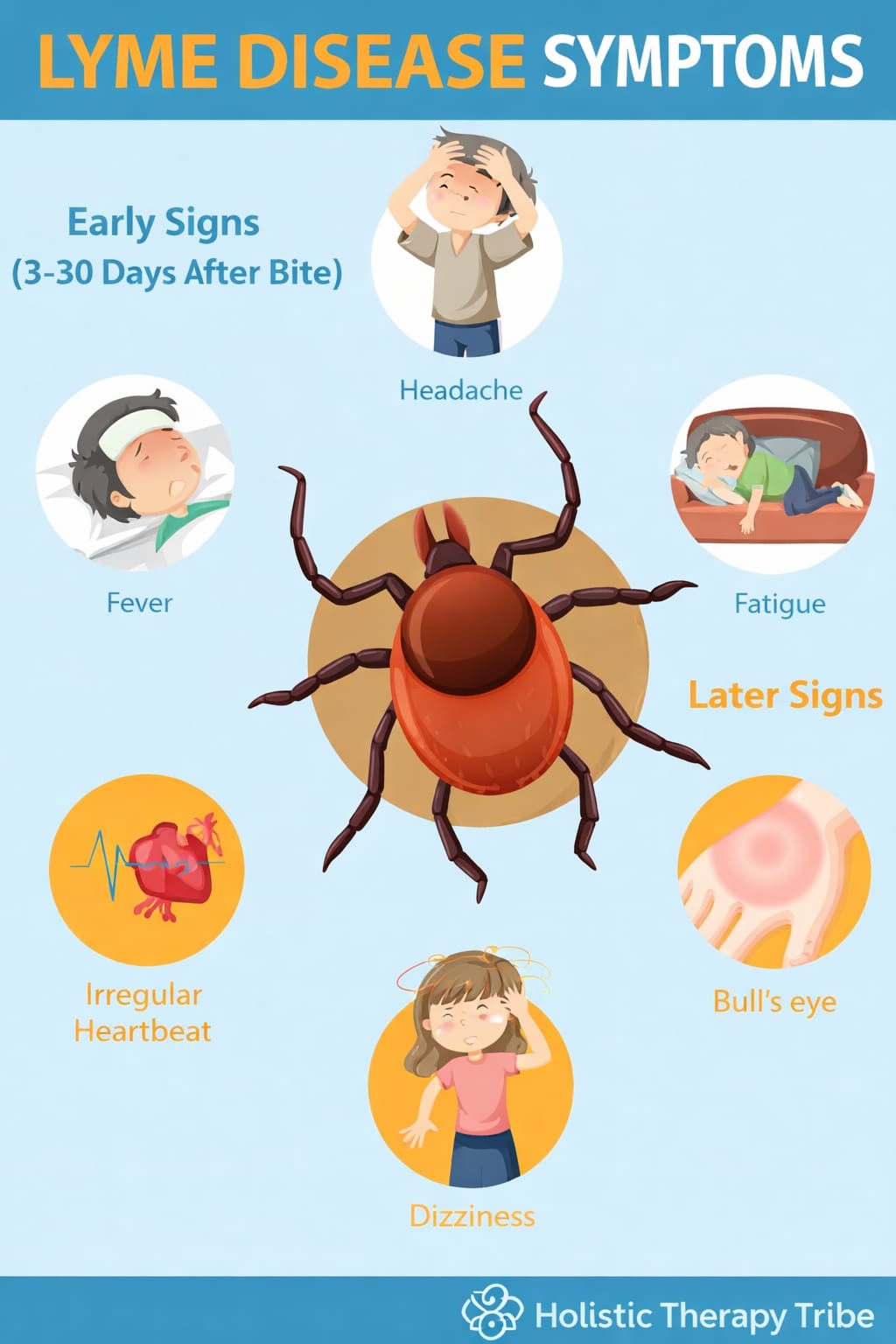 lyme disease symptom
