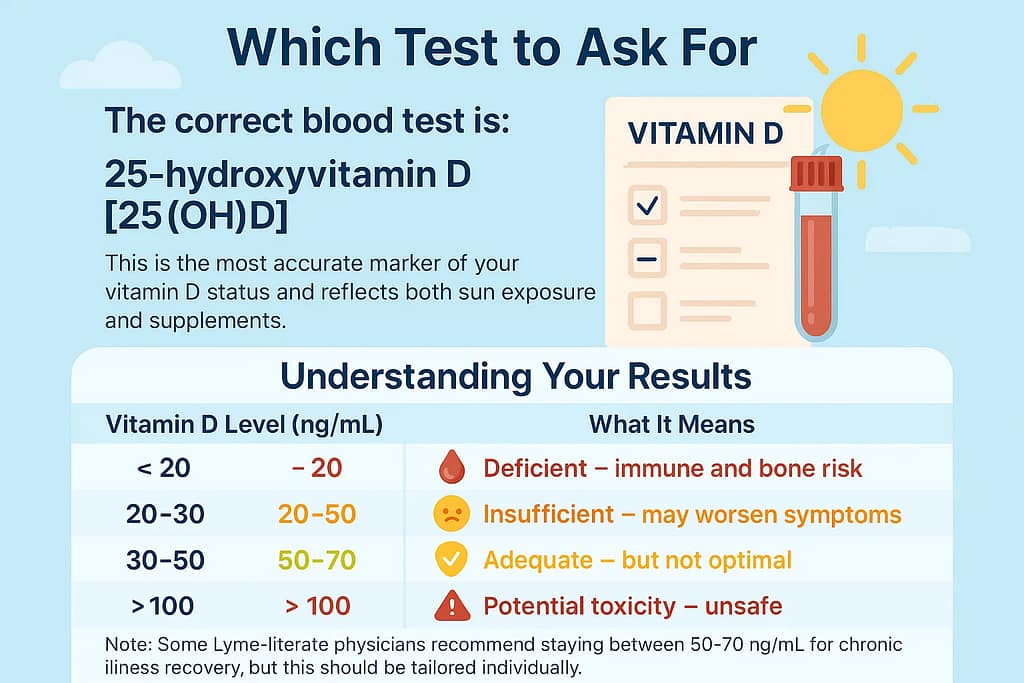 Lyme Disease Test