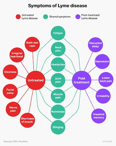 symptoms-of-lyme-disease