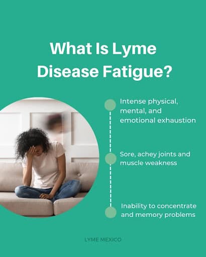 lyme-disease-fatigue