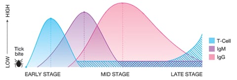 positive-inflammatory-markers