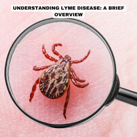 lyme-disease-overview
