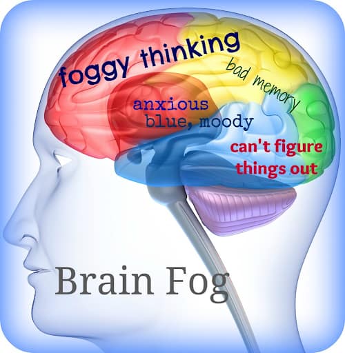 Causes of brain fog in lymes disease