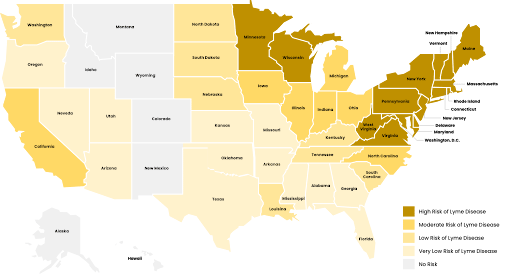 lyme-disease-areas