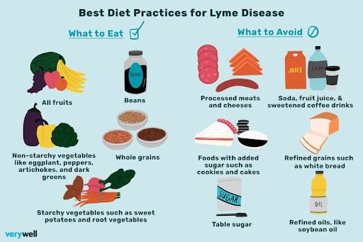 Diet and Nutrition for Lyme Disease Recovery