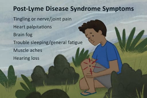 PTLDS symptoms