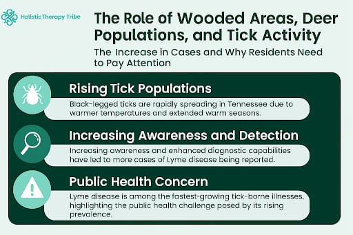 Lyme Disease Statistics in Tennessee
