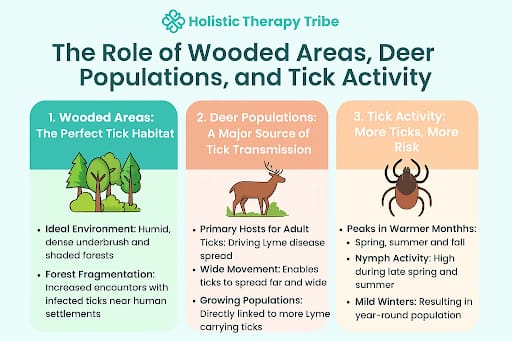 Lyme Disease Threat in Tennessee: Geographic and Environmental Factors