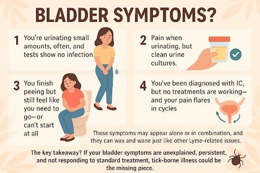bladder-symptoms