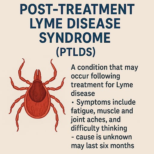 Post-Treatment Lyme Disease Syndrome