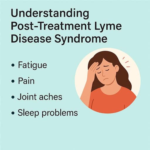 Understanding Post-Treatment Lyme Disease Syndrom