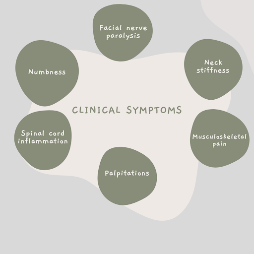 clinical symptoms of Lyme disease in a breastfeeding mom