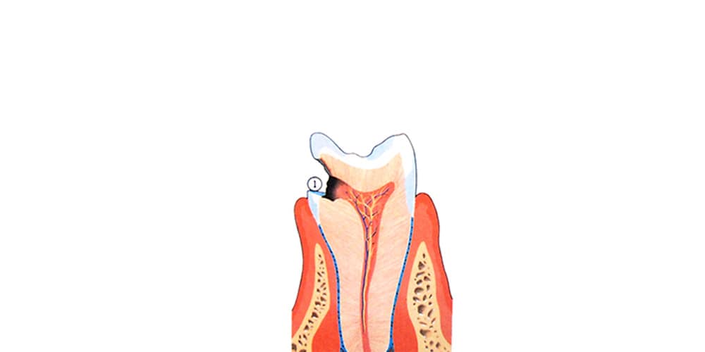 dental clinic near me