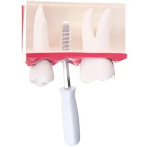 dentist nyc