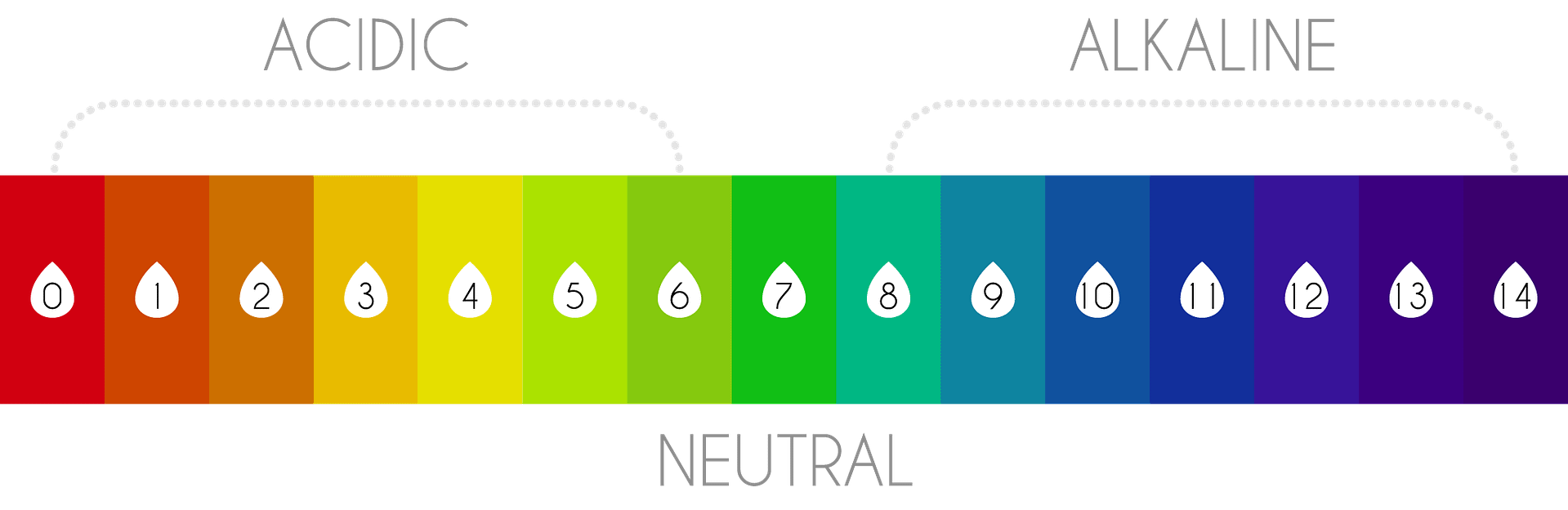 biomagnetism-and-magnetic