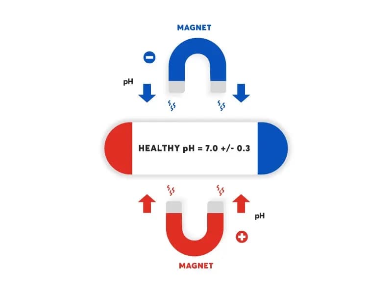 traumatic-brain-injury-and-biomagnetism