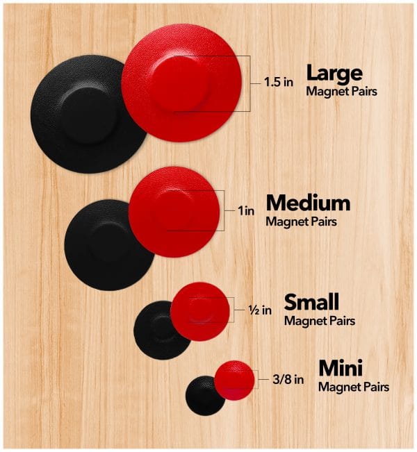 Biomagnetism Magnets