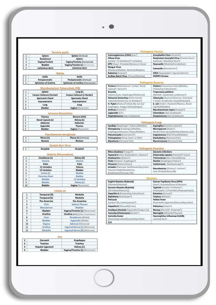 Common Pairs Sheet 2