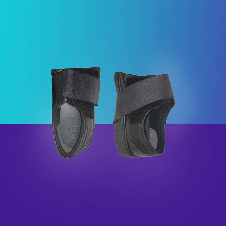 Shoe Shoe