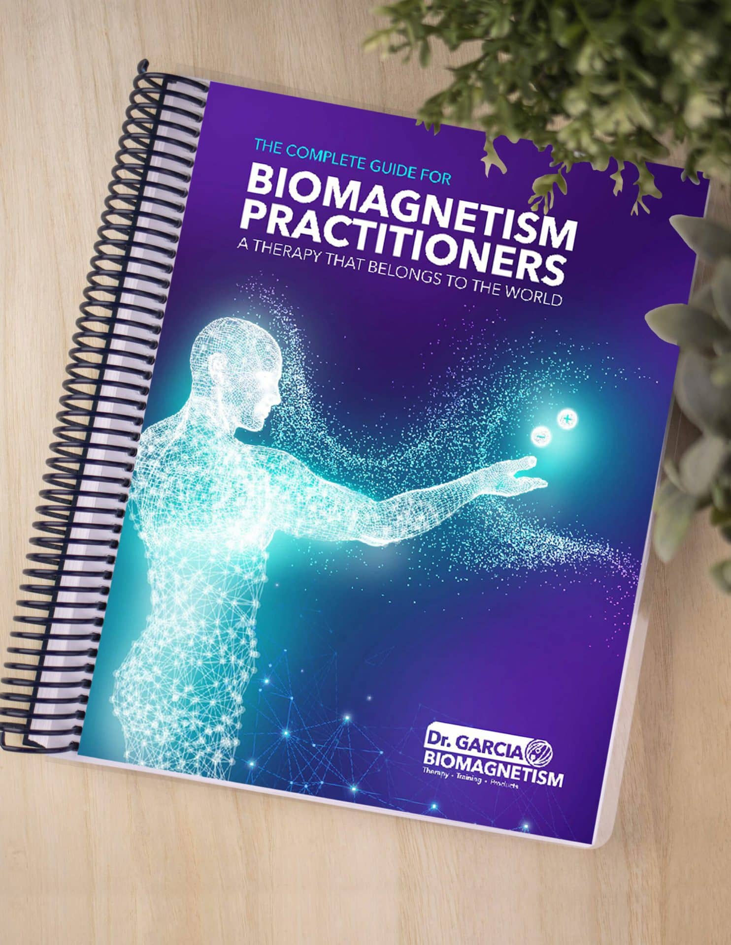 Biomagnetism Practitioners Guide Book - Dr Garcia Biomagn...