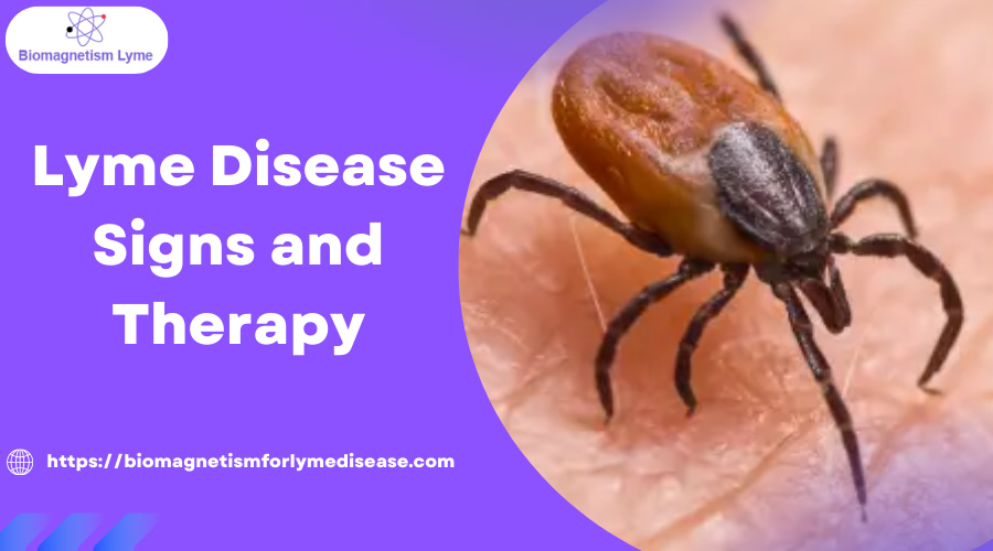 Lyme Disease Signs and Therapy