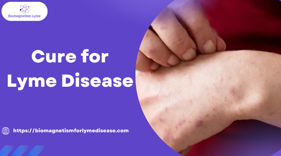 absolute cure for Lyme disease