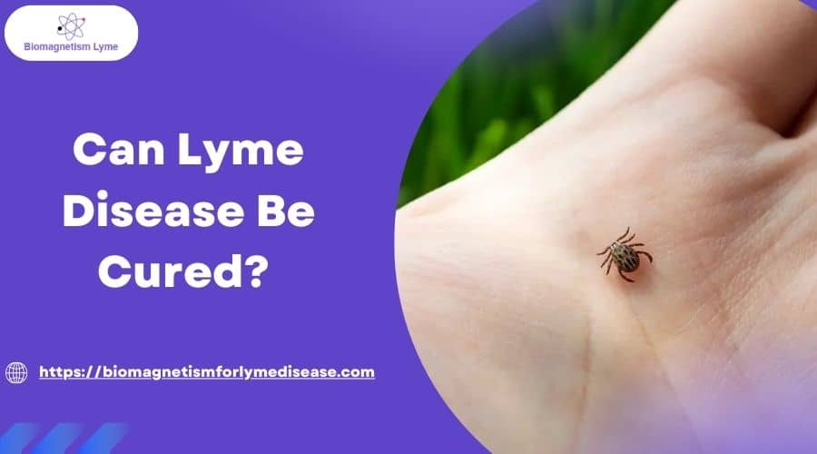 Can Lyme Disease Be Cured