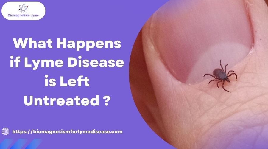 If Lyme Disease is Left Untreated