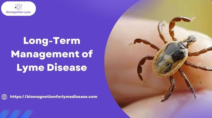 Long-Term Management of Lyme Disease