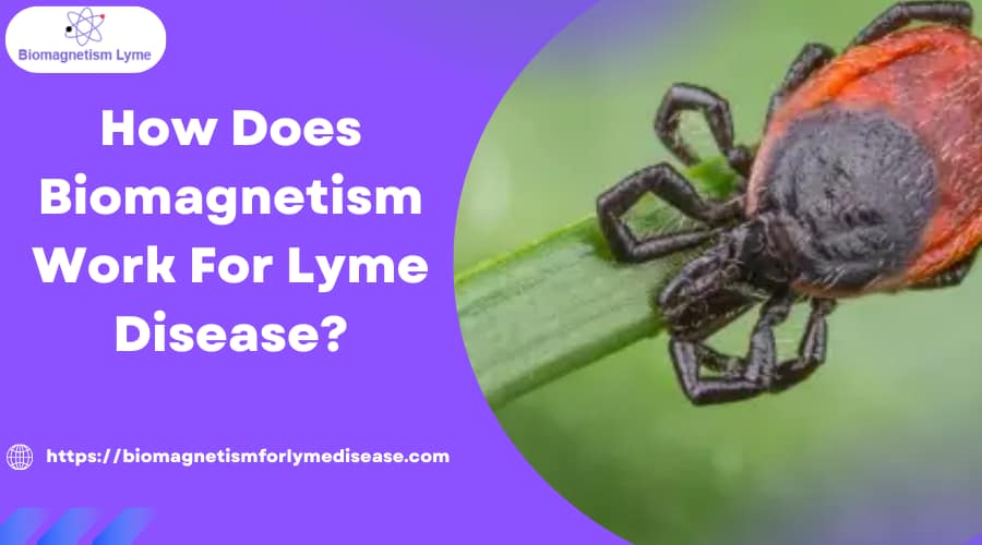 Biomagnetism Therapy Work For Lyme Disease