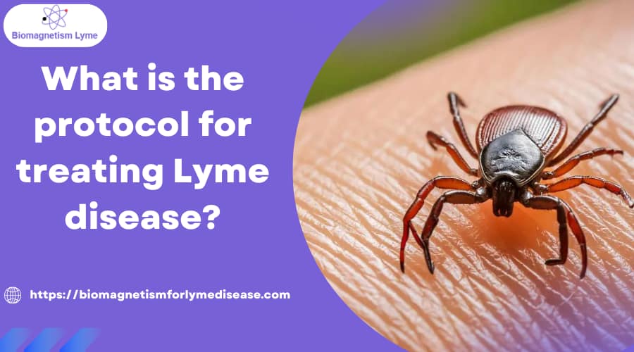 The protocol for treating Lyme disease treatment