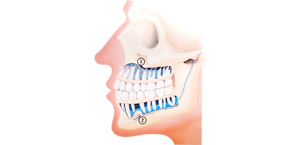best dentist near me