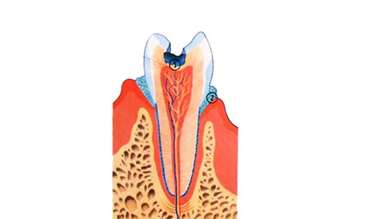 dentist nyc