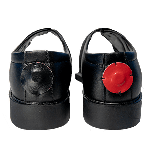 Biomagnetism Shoes