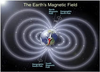 biomagnetism-and-magnetic-therapy-are-they-different-therapies-blog