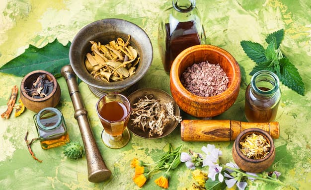 Roots-of-Naturopathy