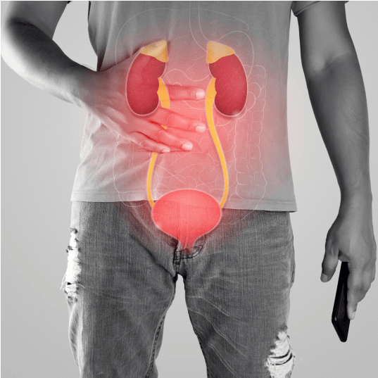 Urology