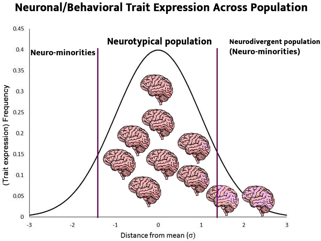 Neuronal-Population