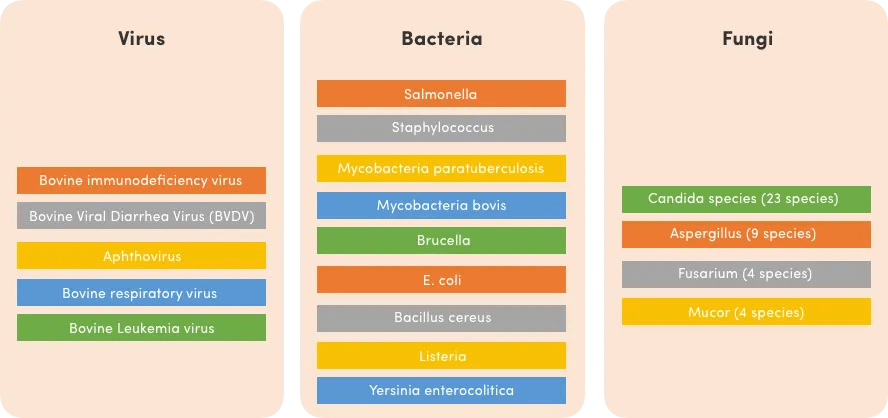 biomagnetism-and-dairy-products