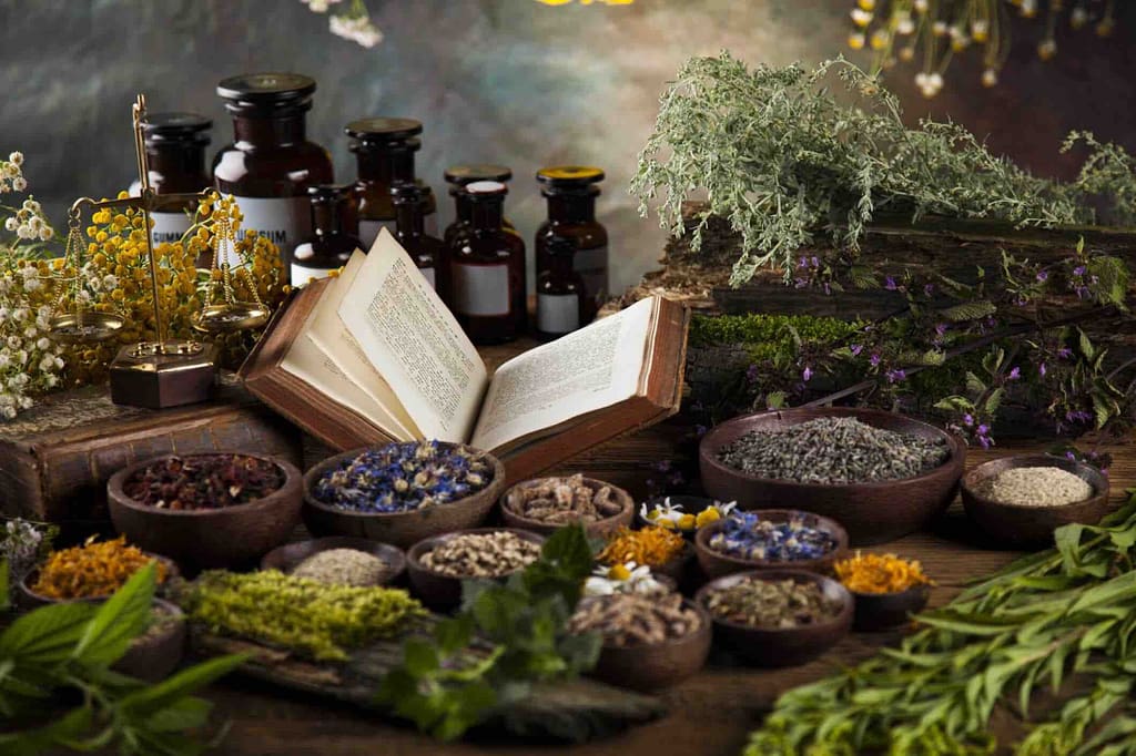 Criticisms-of-Naturopathy