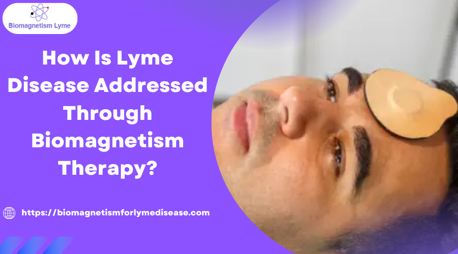 Lyme Disease Addressed Through Biomagnetism Therapy