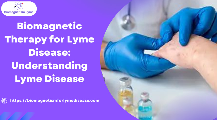 understanding lyme disease treatment