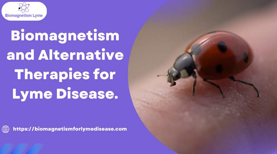 Biomagnetism and Alternative Therapies for Lyme Disease.