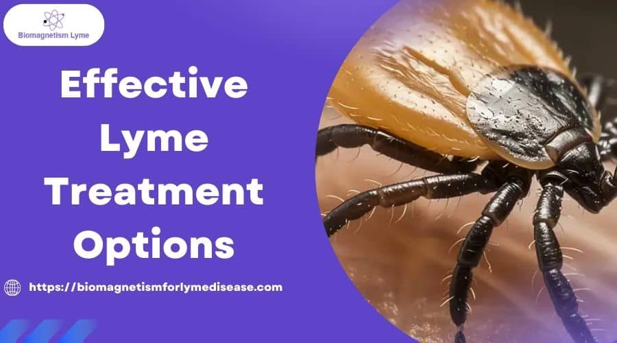 Effective Lyme Treatment Options: Beyond Antibiotics